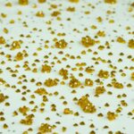 Turbinado sugar for creme brulee 150x150 1